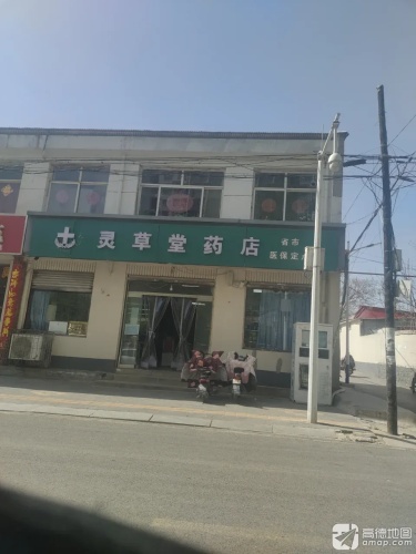 灵草堂药店(太平河南路店)