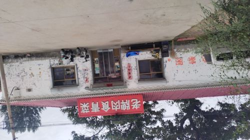 老牌肉食青菜