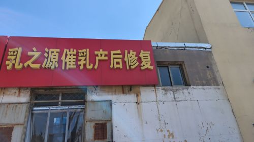 乳之源催乳产后修复