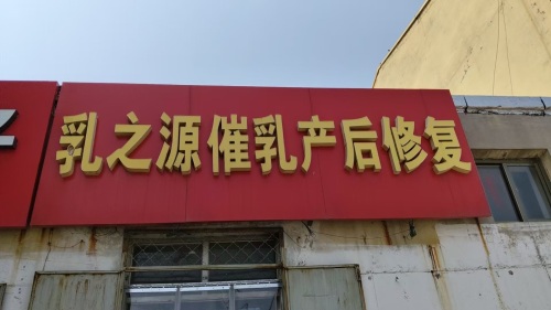 乳之源催乳产后修复