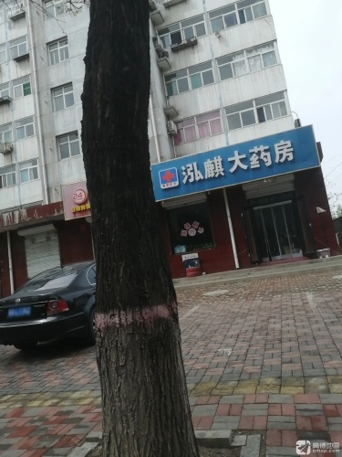 泓麒大药房