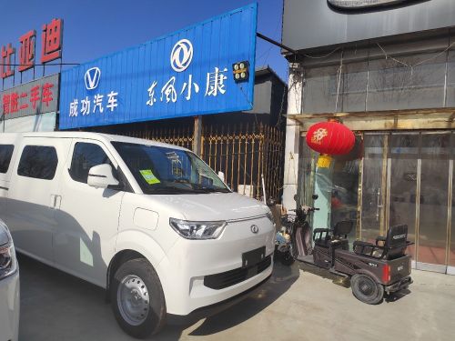 瑞驰新能源(宁晋县店)