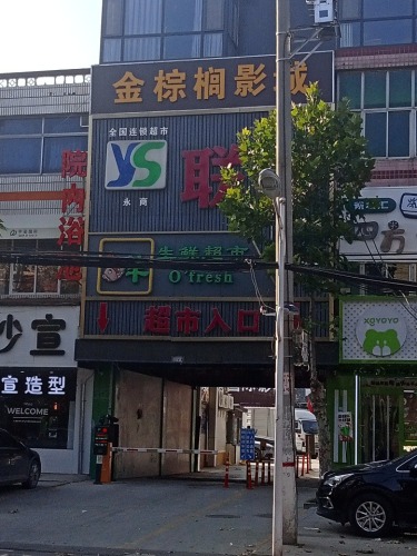金棕榈影城(富强大街店)