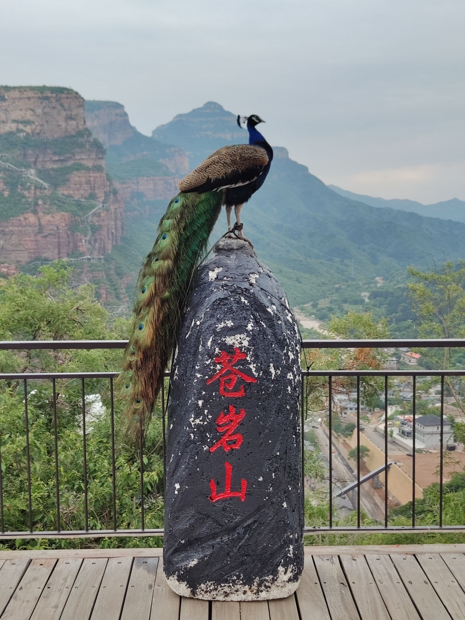 苍岩山风景名胜区售票处