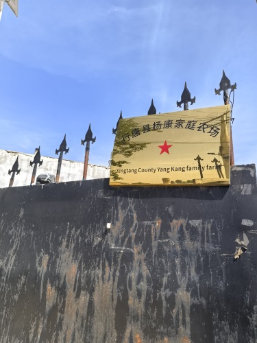 行唐县杨康家庭农场