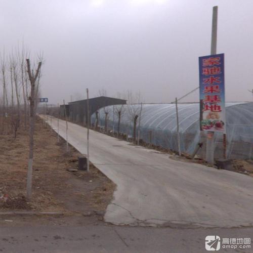 家驰水果基地