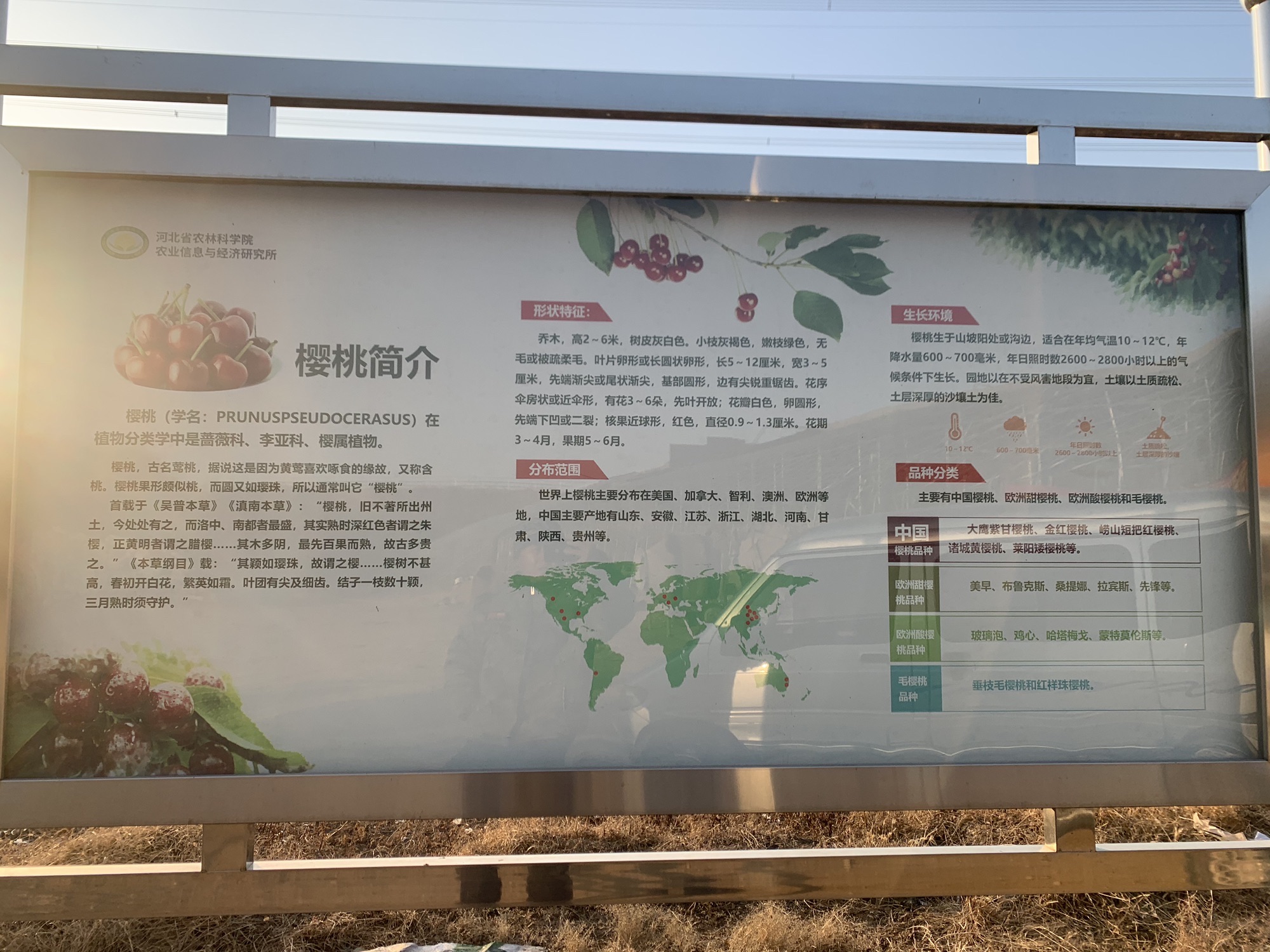 百果峪采摘园