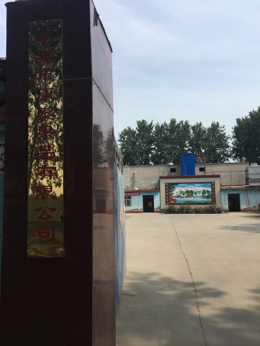 辛集市康泰果品有限公司