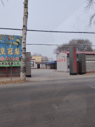 辛集市康泰果品有限公司