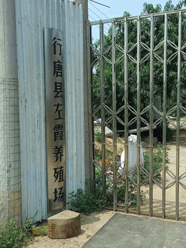 行唐县左霞养殖场