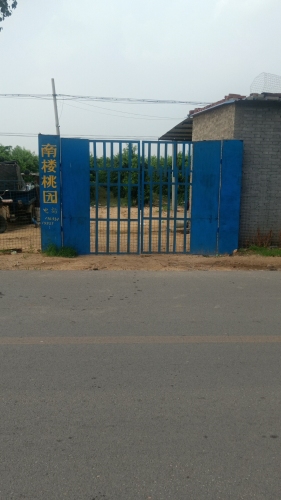 南楼桃园