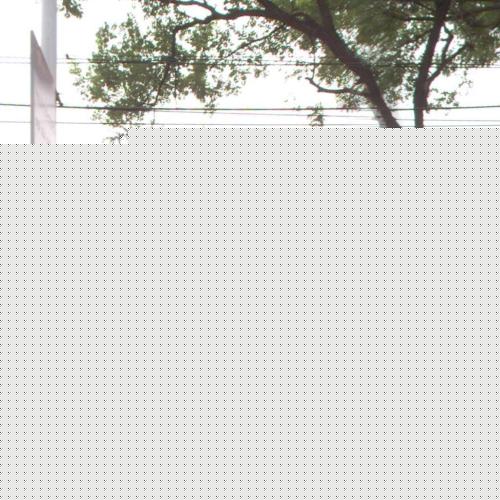 爱情驿站婚礼