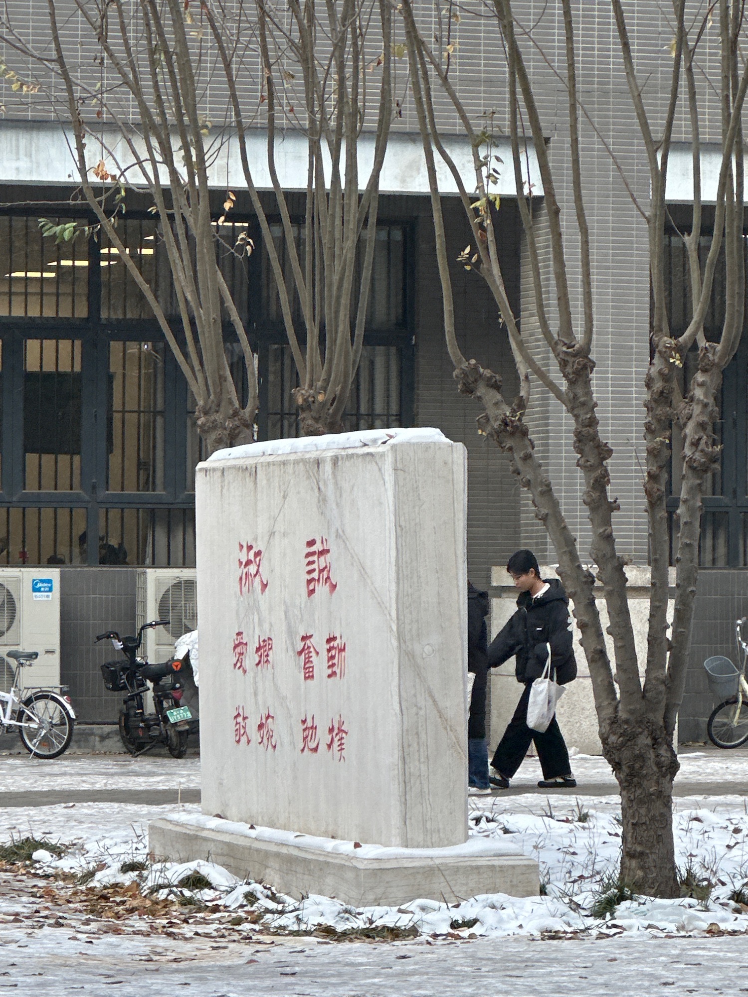 河北师范大学(新校区)-小竹林