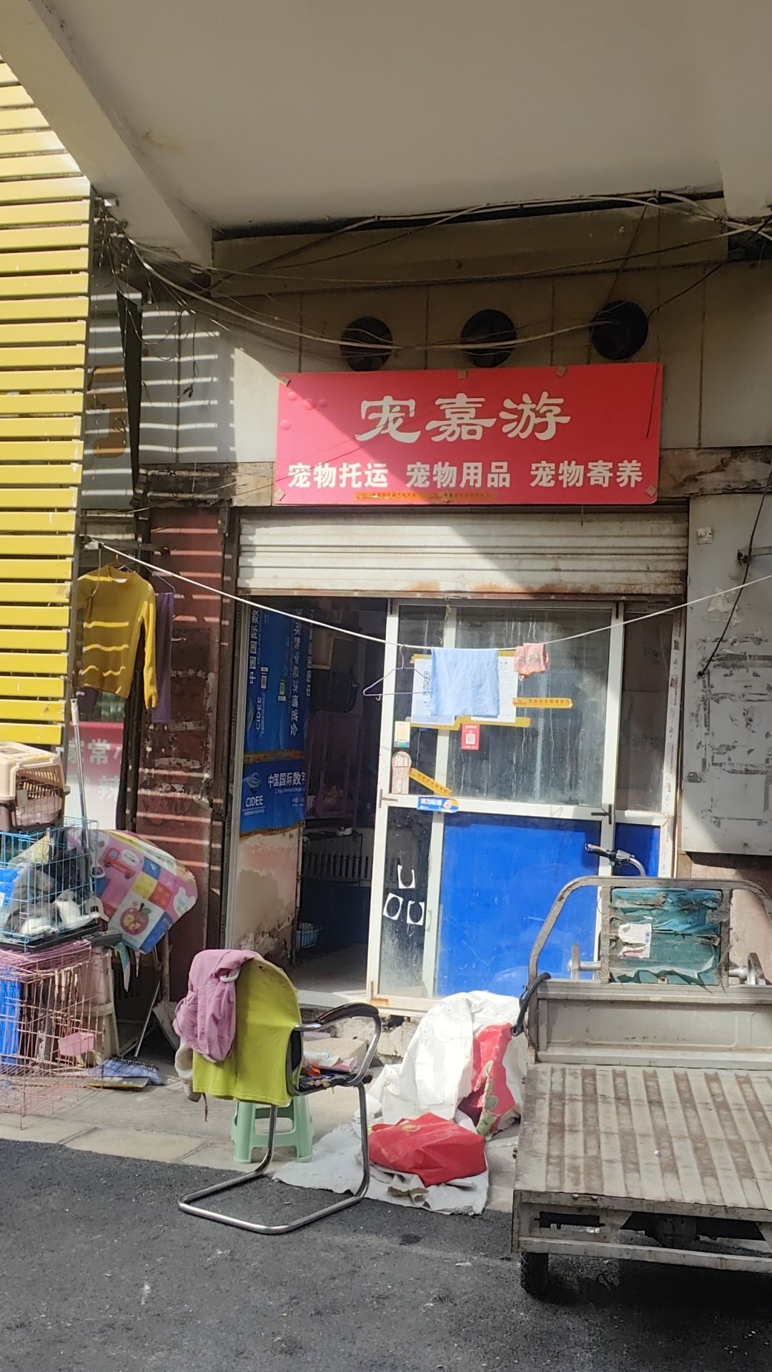 宠嘉游宠物托运公司