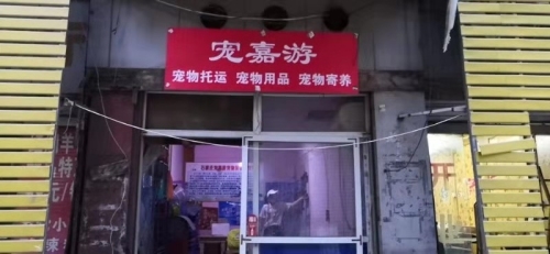 宠嘉游宠物托运公司