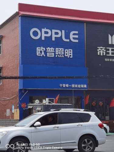 欧普照明智能灯光(天宝东街店)