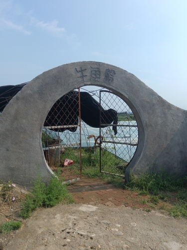 牛角岭葡萄采摘园