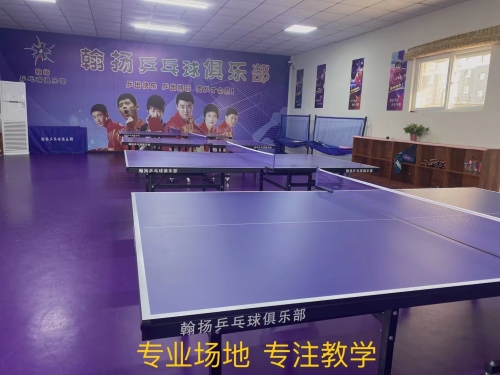 翰扬乒乓球俱乐部训练基地