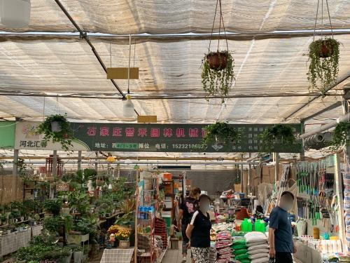 山东盆景绿植花卉有限公司