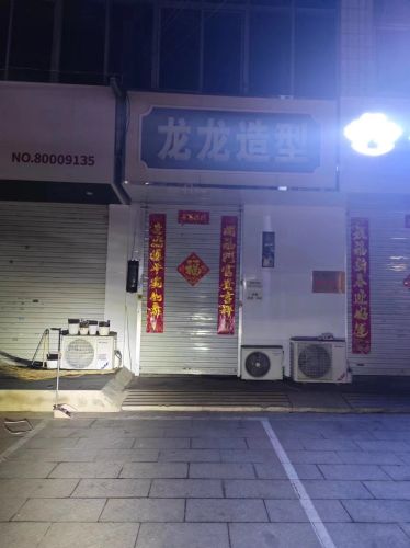 龙龙造型