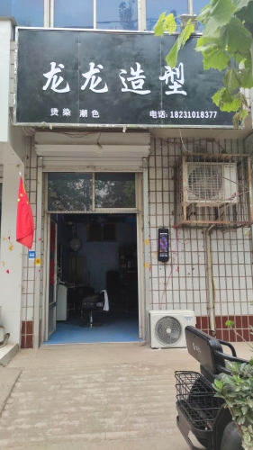 龙龙造型