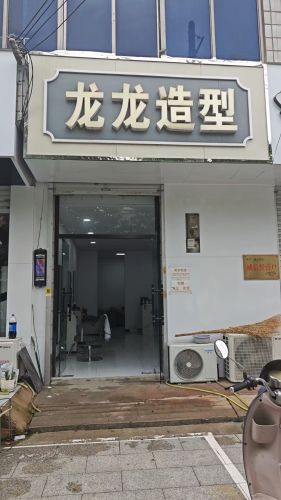 龙龙造型