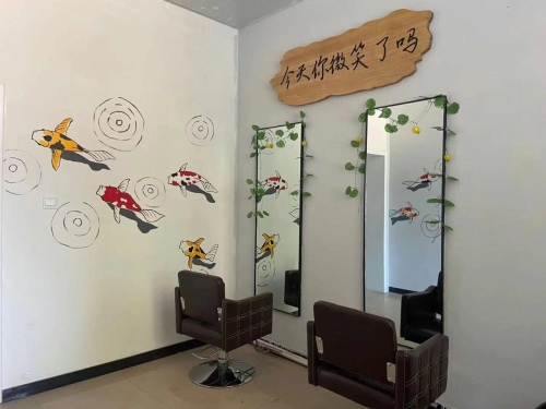Z&S侨景发艺