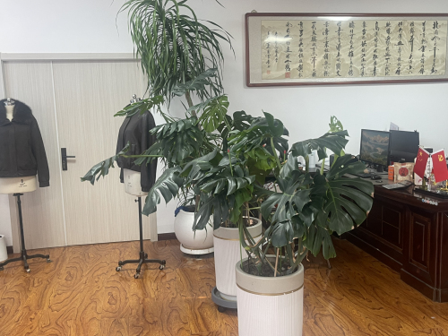辛集市北通服饰有限公司