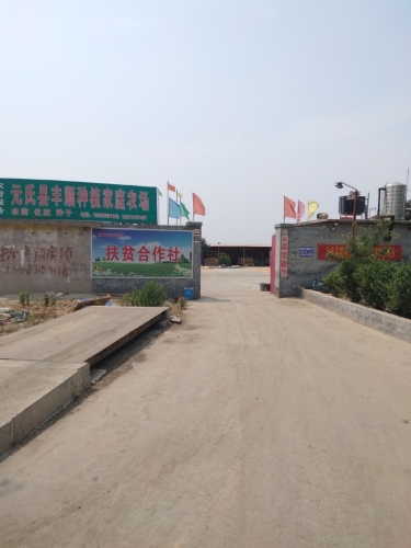 丰顺家庭农场