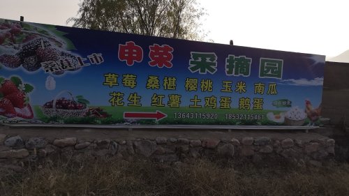 申荣采摘园