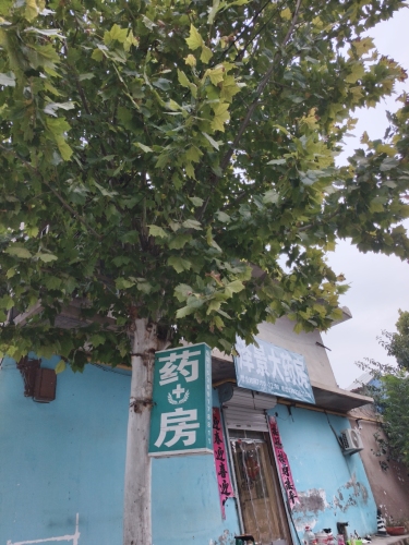 泽景大药房
