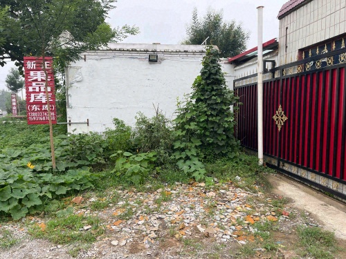 赵县南庄新正果品库