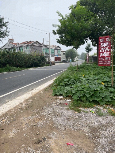赵县南庄新正果品库
