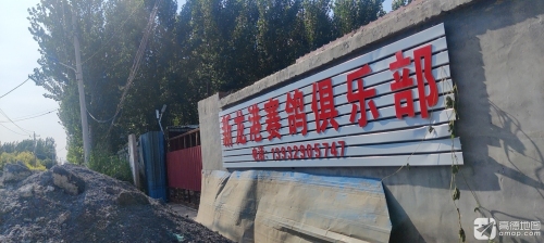 新龙港赛鸽俱乐部