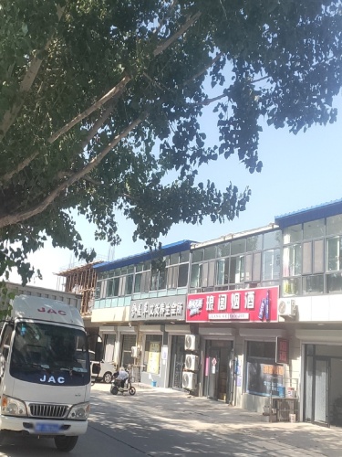 含羞草艾灸养生会所