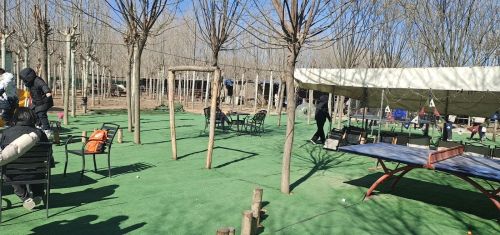 高得家庭农场采摘园