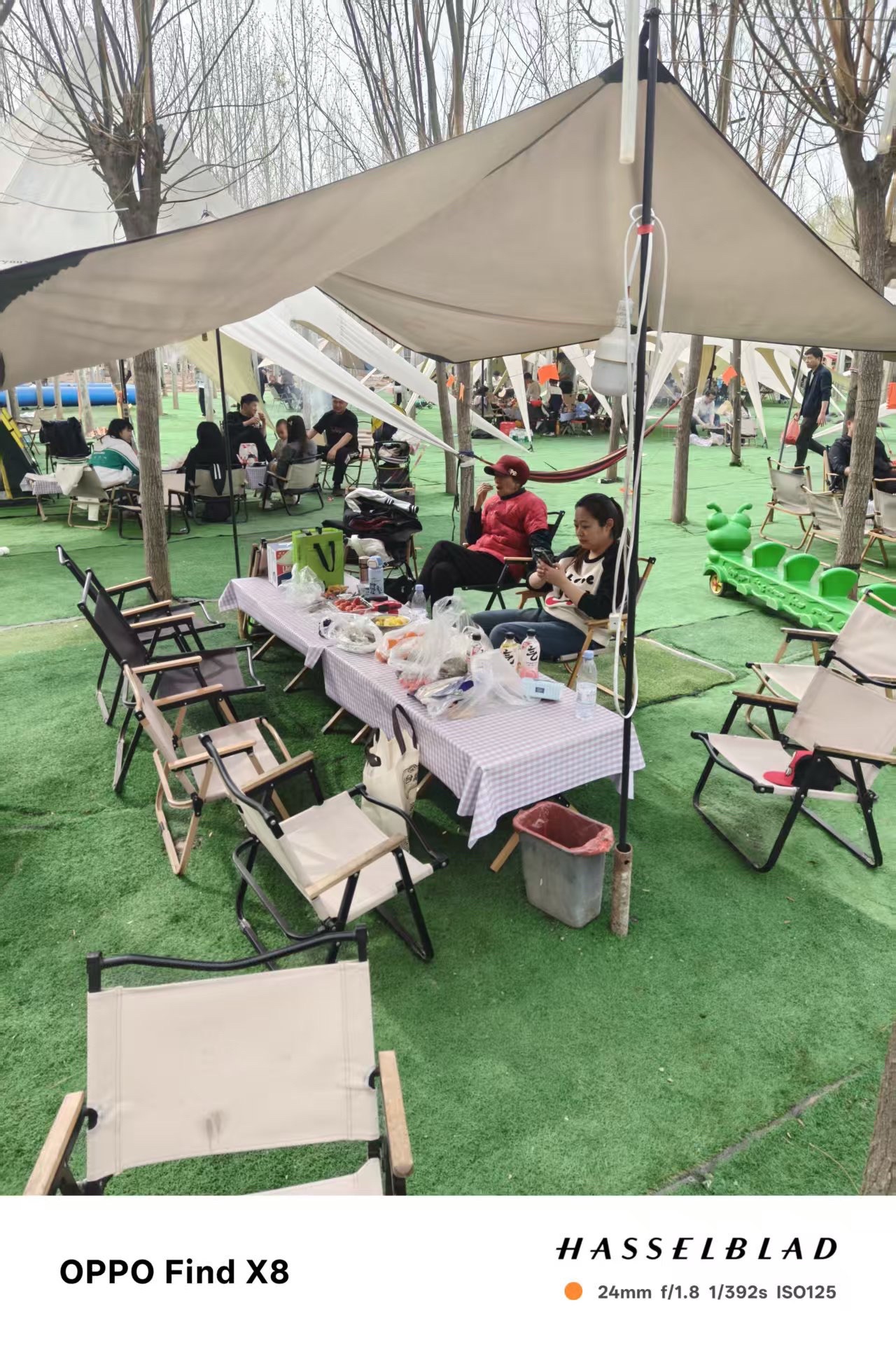 高得家庭农场采摘园