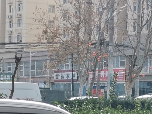 金弘农林