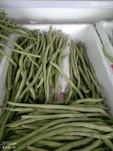 精品蔬菜水果