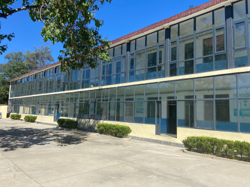 九岭小学