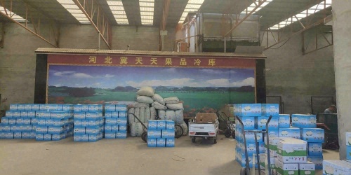 冀天天村西冷库