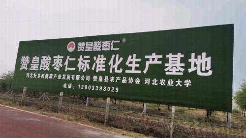 赞皇酸枣仁标准化生产基地