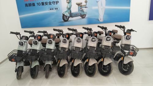 雅迪电动车(严华寺店)
