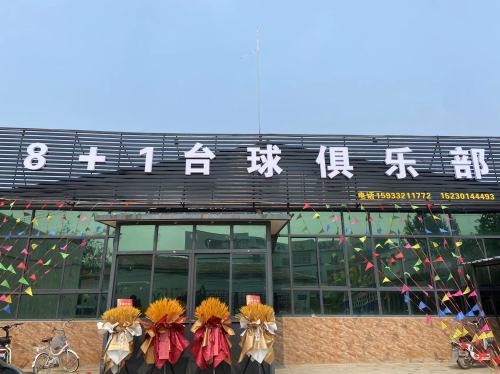 8+1台球俱乐部