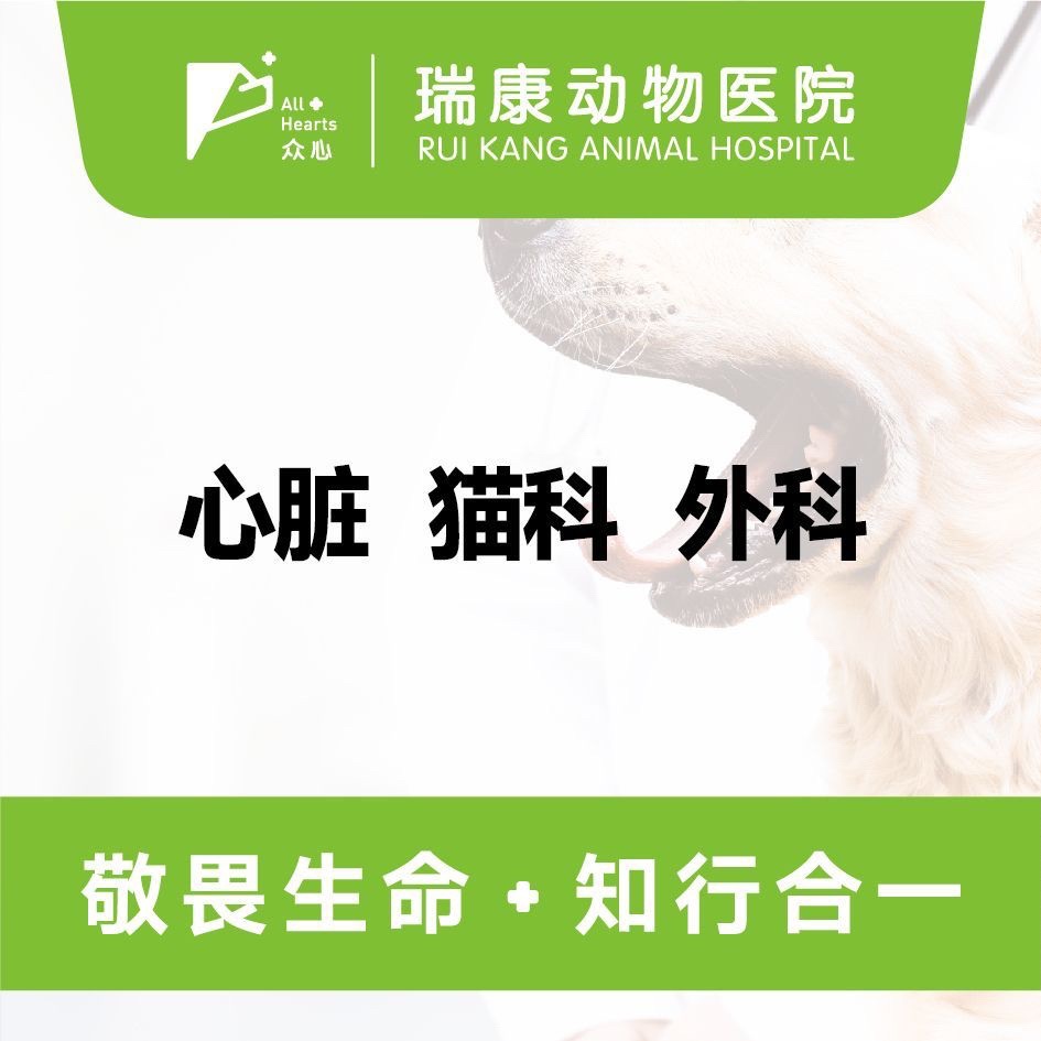 众心·瑞康动物医院•体外碎石•心脏病•犬猫•异宠(东南智汇城店)