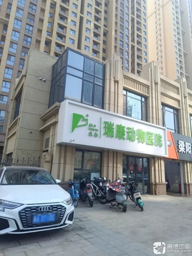 众心·瑞康动物医院•体外碎石•心脏病•犬猫•异宠(东南智汇城店)