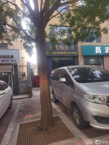 启飞跆拳道