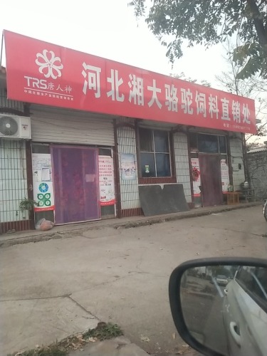 河北湘大骆驼饲料直销处