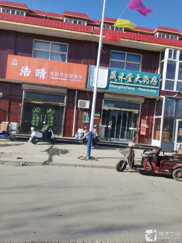 晟禾堂大药房