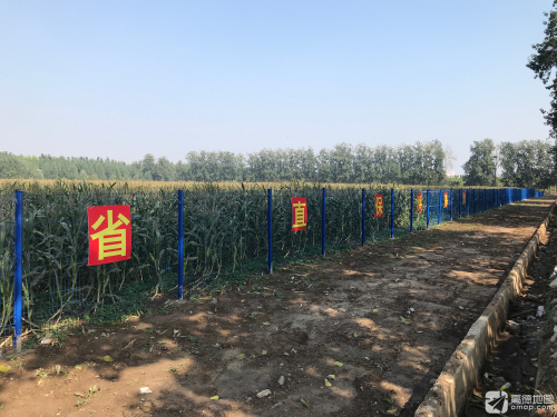 省直保供基地